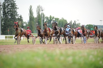 Festival du Trot